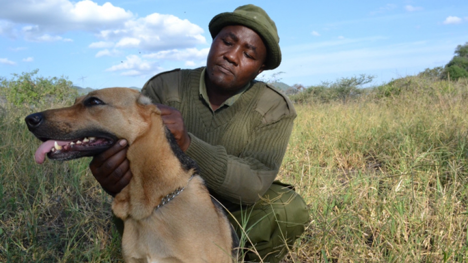 Kenya's antipoaching efforts also help humans
